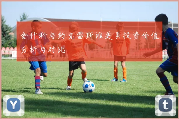 舍什科与约克雷斯谁更具投资价值分析与对比