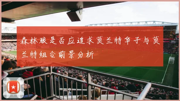 森林狼是否应追求莫兰特华子与莫兰特组合前景分析