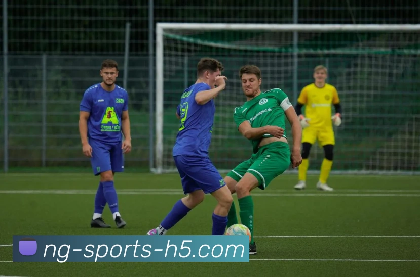 南宫体育平台生态图